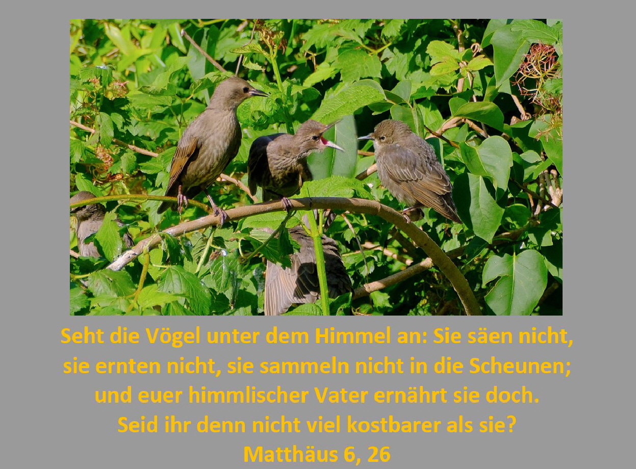 Homepage_Juli_2026